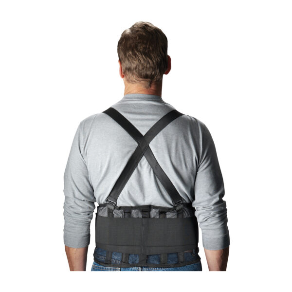 Back Belt