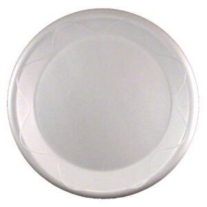 DU5010101  Foam Plate