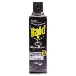 SJN668006 Raid Wasp and Hornet Killer