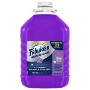 US05253A- Fabuloso, 1 gal